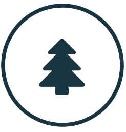 Tree icon